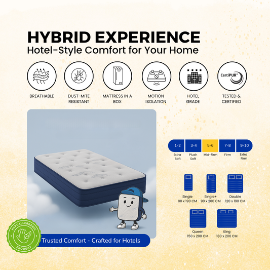 Hybrid Experience